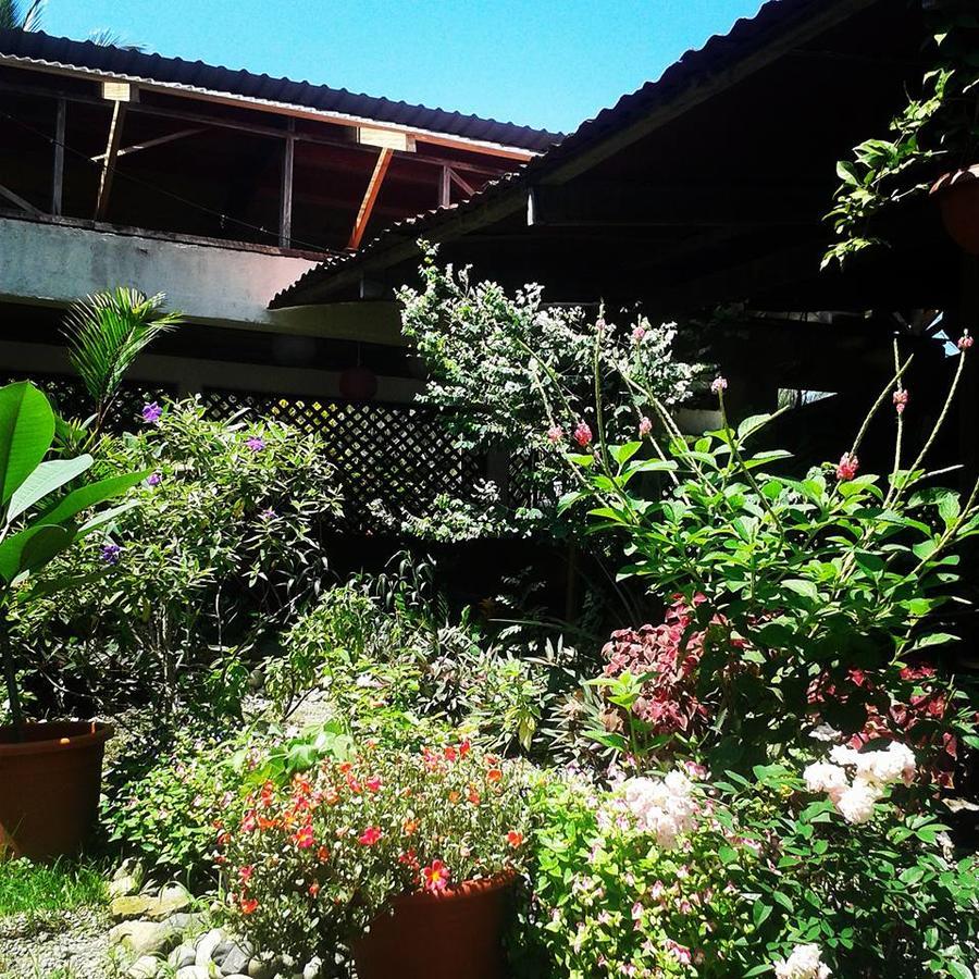 Hotel Puerto Viejo Puerto Viejo de Talamanca Exteriér fotografie